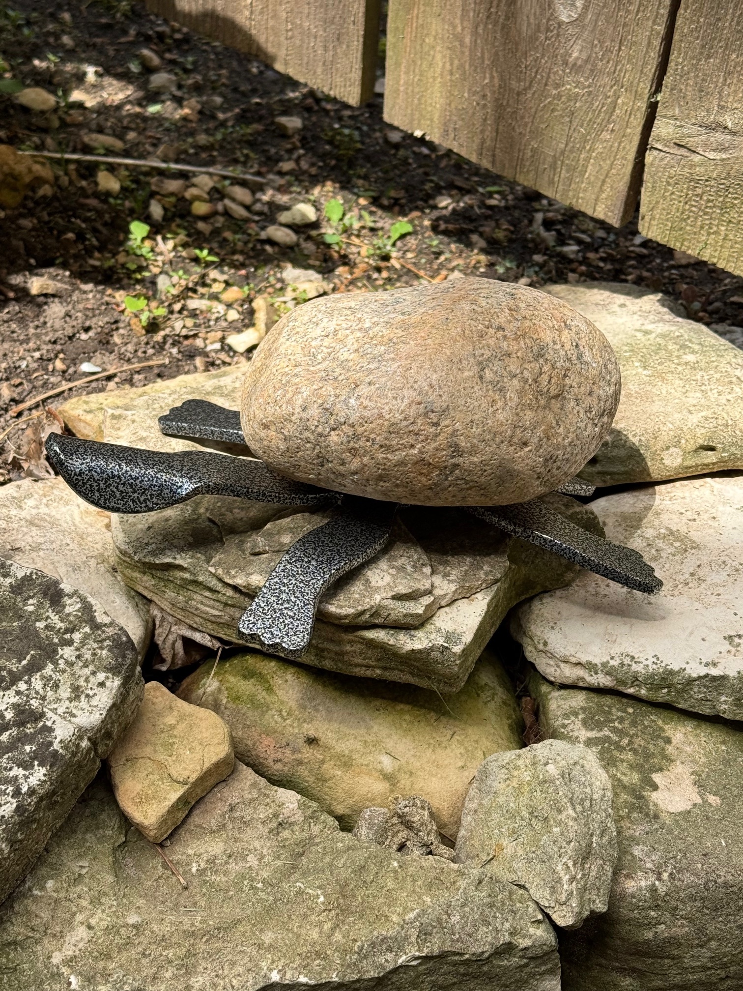 Image of Turtle, Medium 3TF by  Francis Metal Works