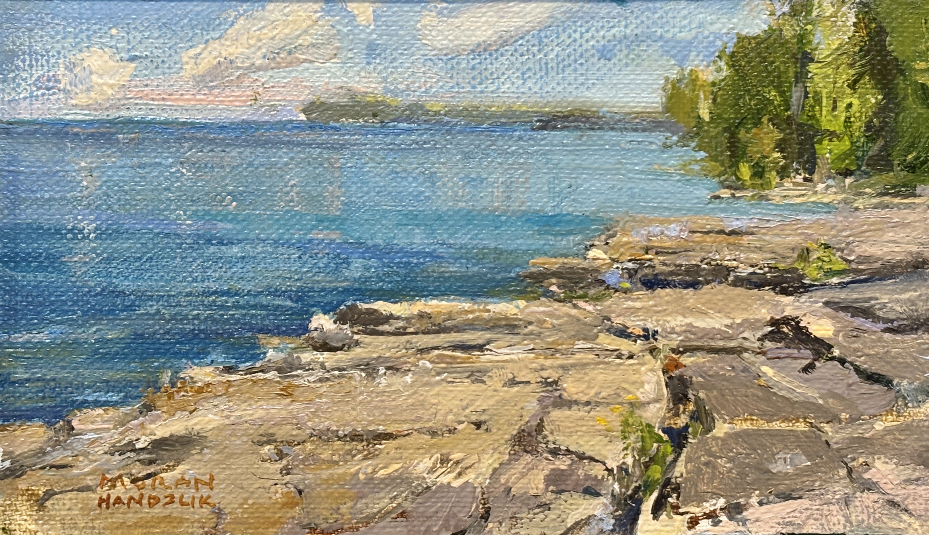 Image of Birds Singing Toft Point by Bethann Moran-Handzlik