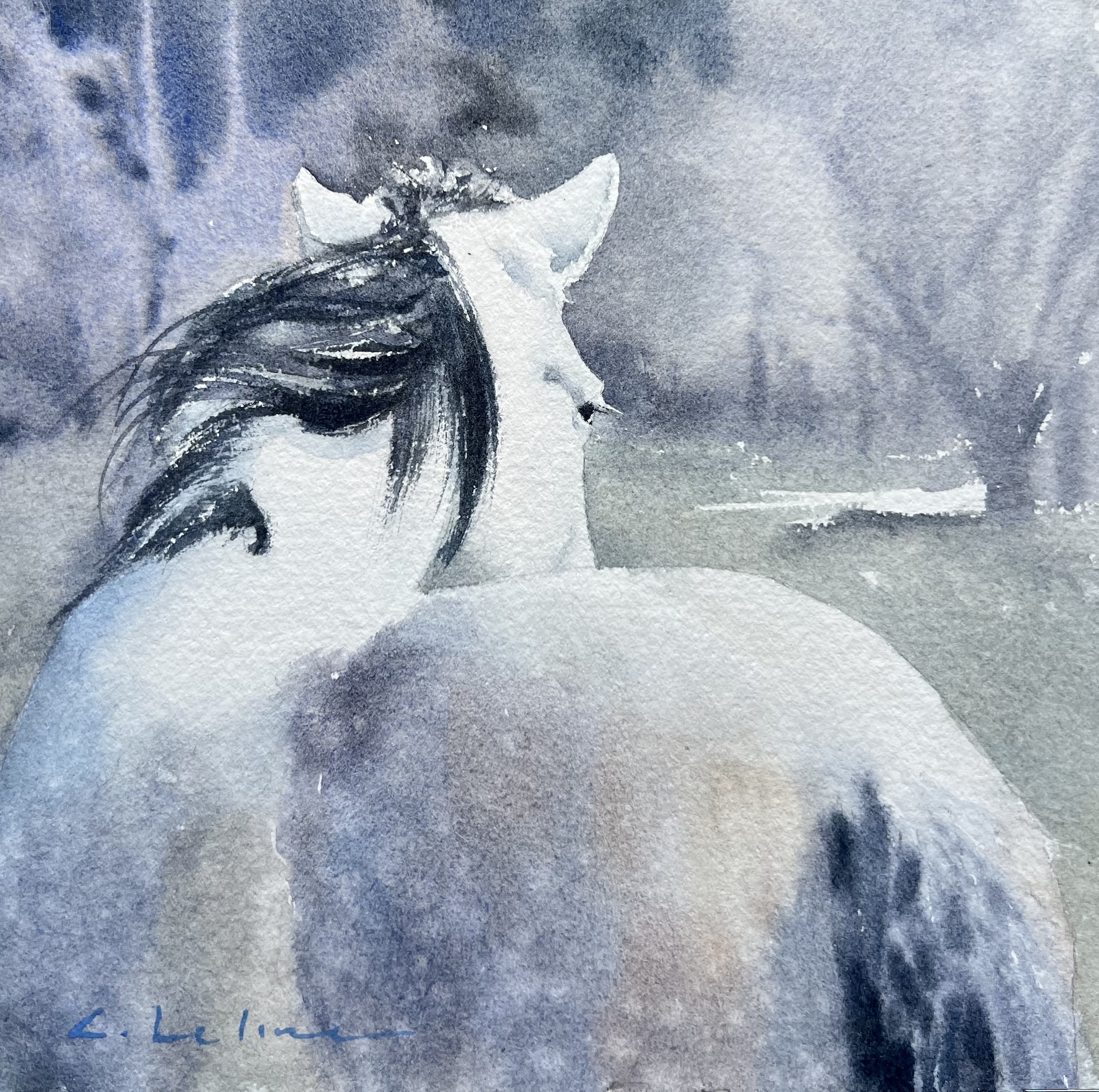 Image of Where the Forest Dreams by Caitlin Leline Hatch
