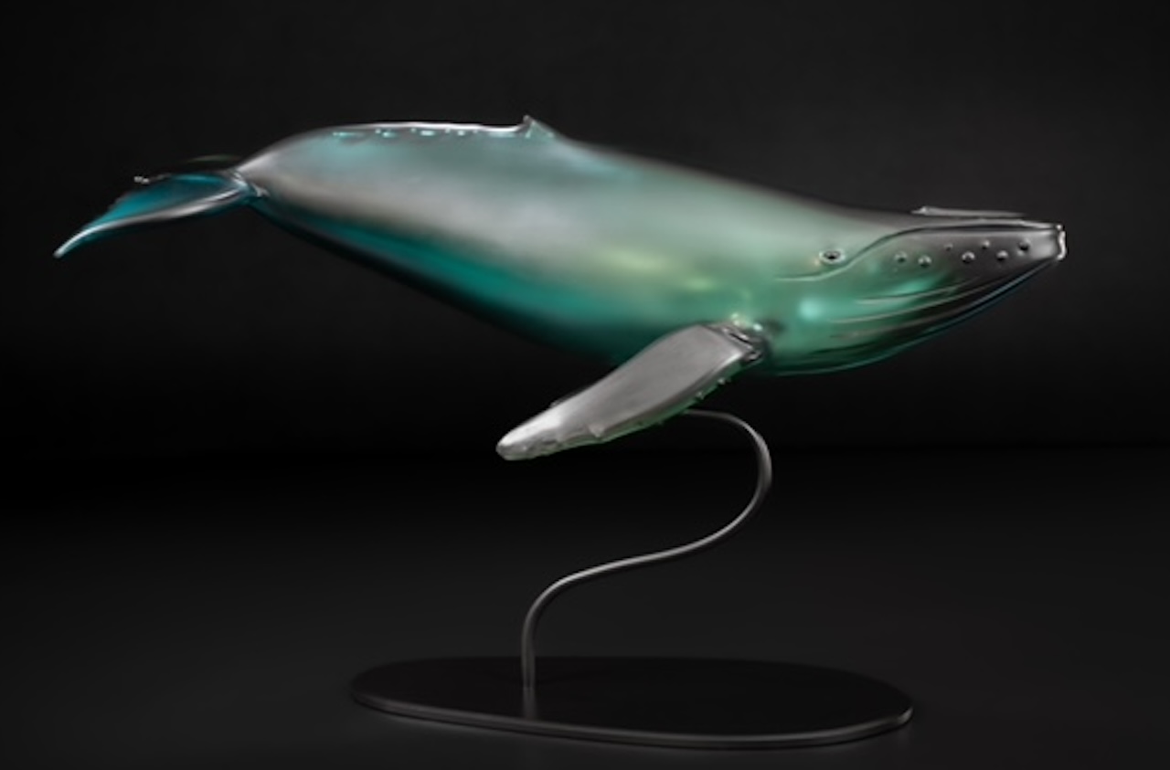 Feature image for Hawk Gallery Item