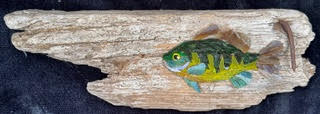 Image of Little Blue Gill by Joseph Kaftan