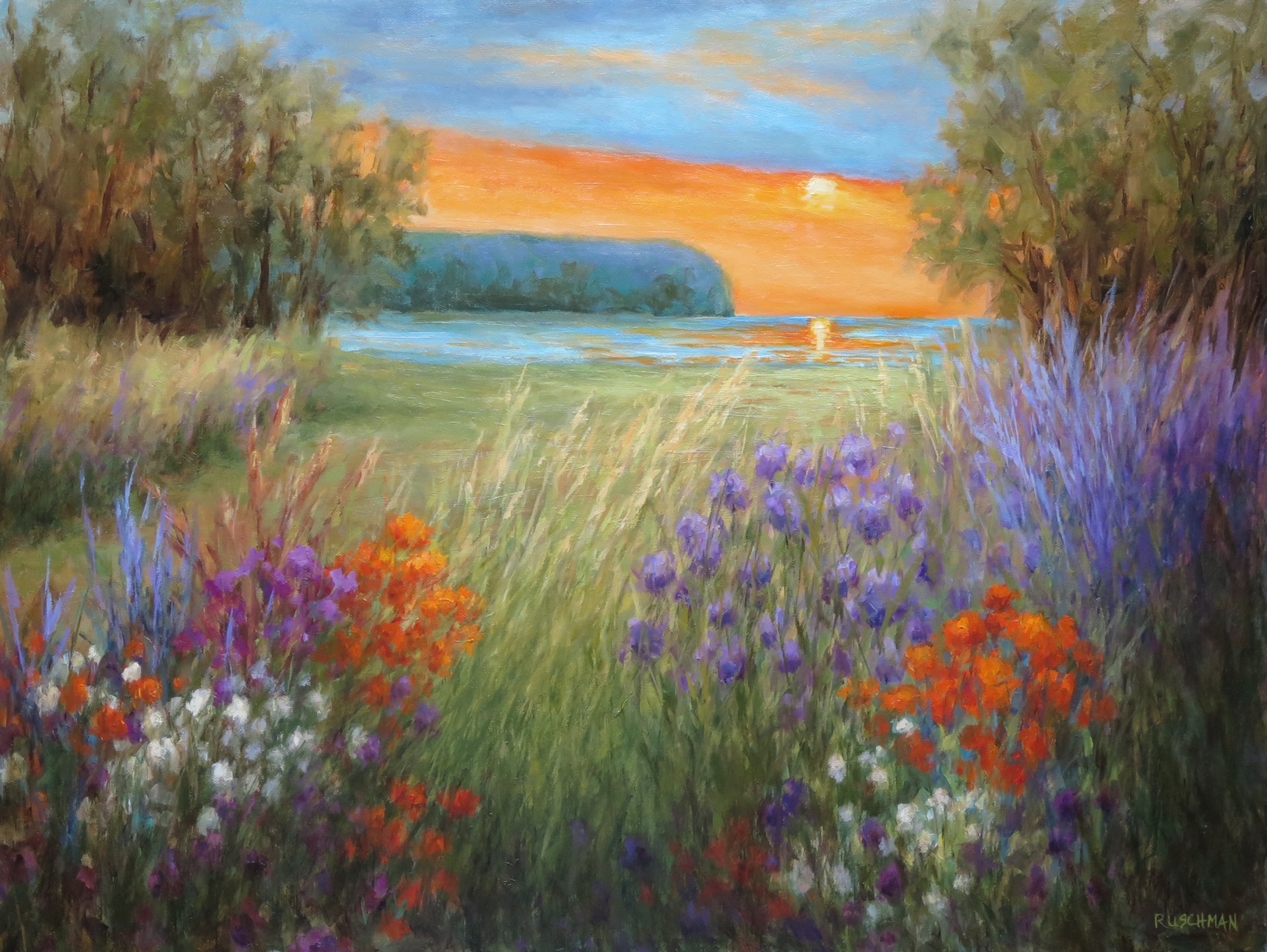 Image of Wills Park Ellison Bay by Pamela Ruschman