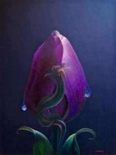 Purple Tulip with Bee