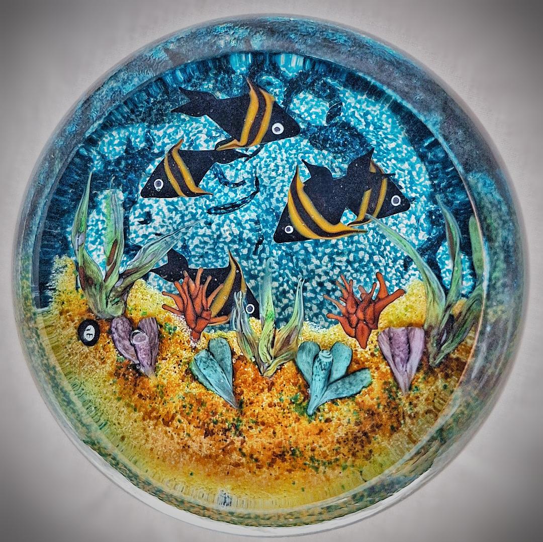 Image of Black Angel Fish by William Manson