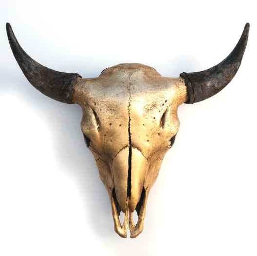 Bison Skull: Gold and... by  Owen Mortensen - Masterpiece Online