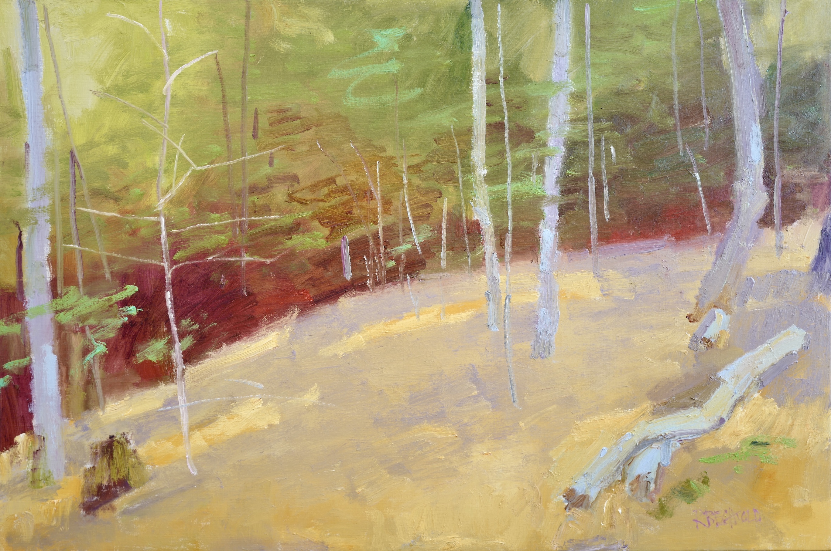 Image of A Walk in The Woods by Rodger Bechtold