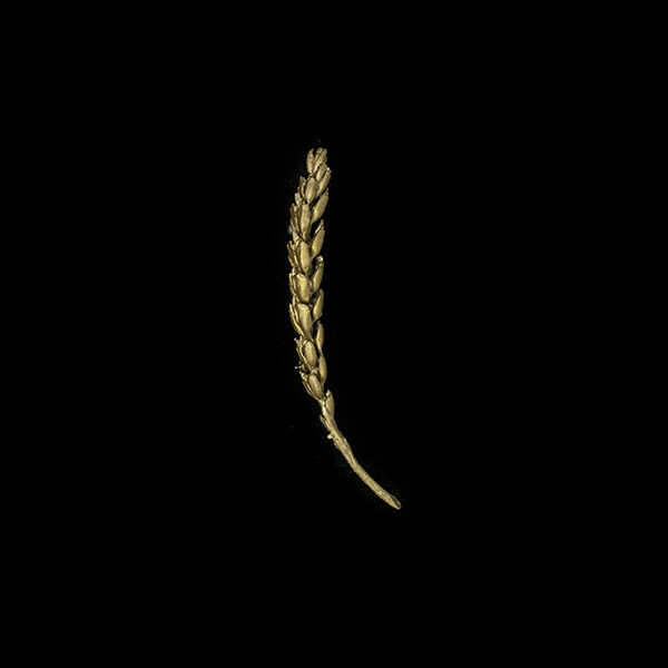 Wheat Brooch