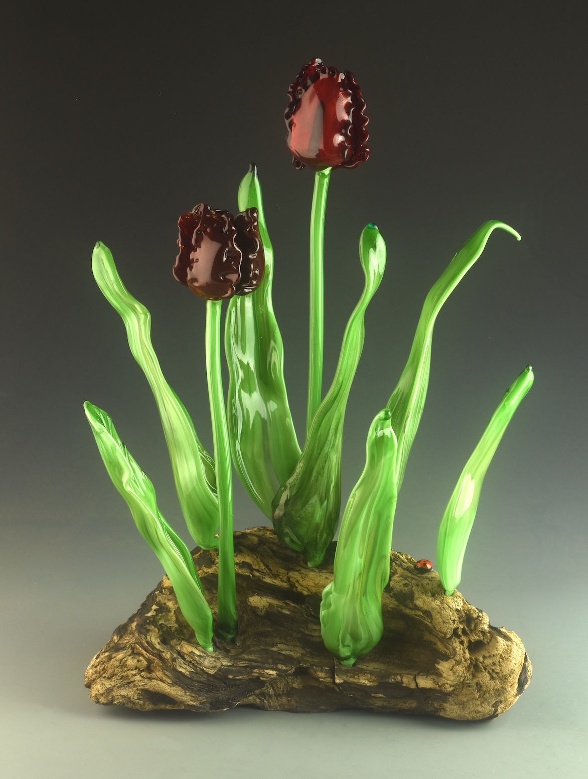 Image of Red Ruffled Tulips by Vicki Schneider