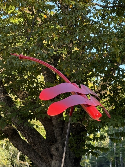 Image of Dragonfly, Painted Medium/Small, Open Edition by Thomas Skupniewitz