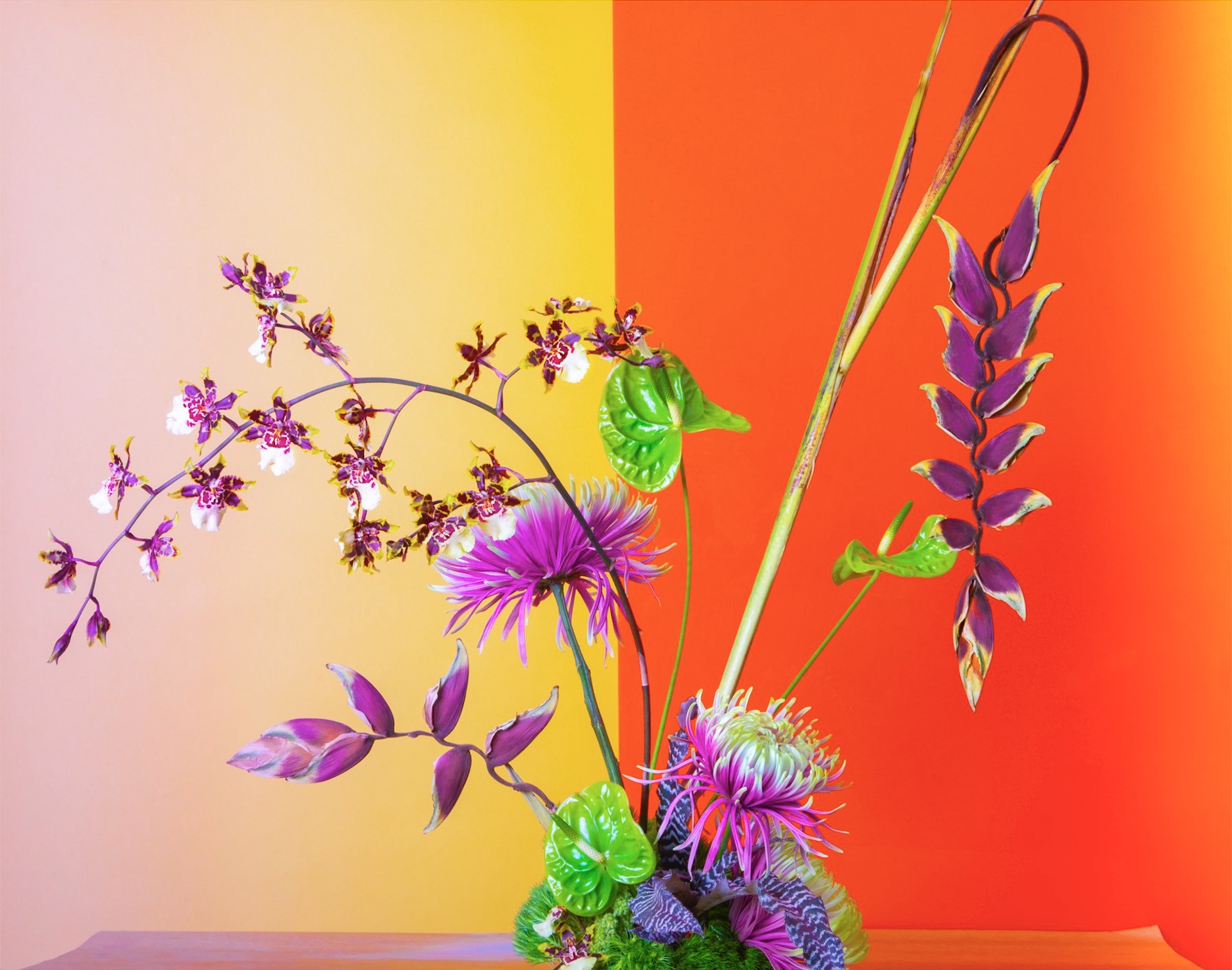 Chromatic Alchemy by Javiera Estrada