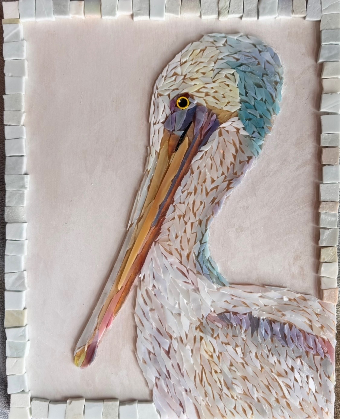 Image for D.C. Pelican