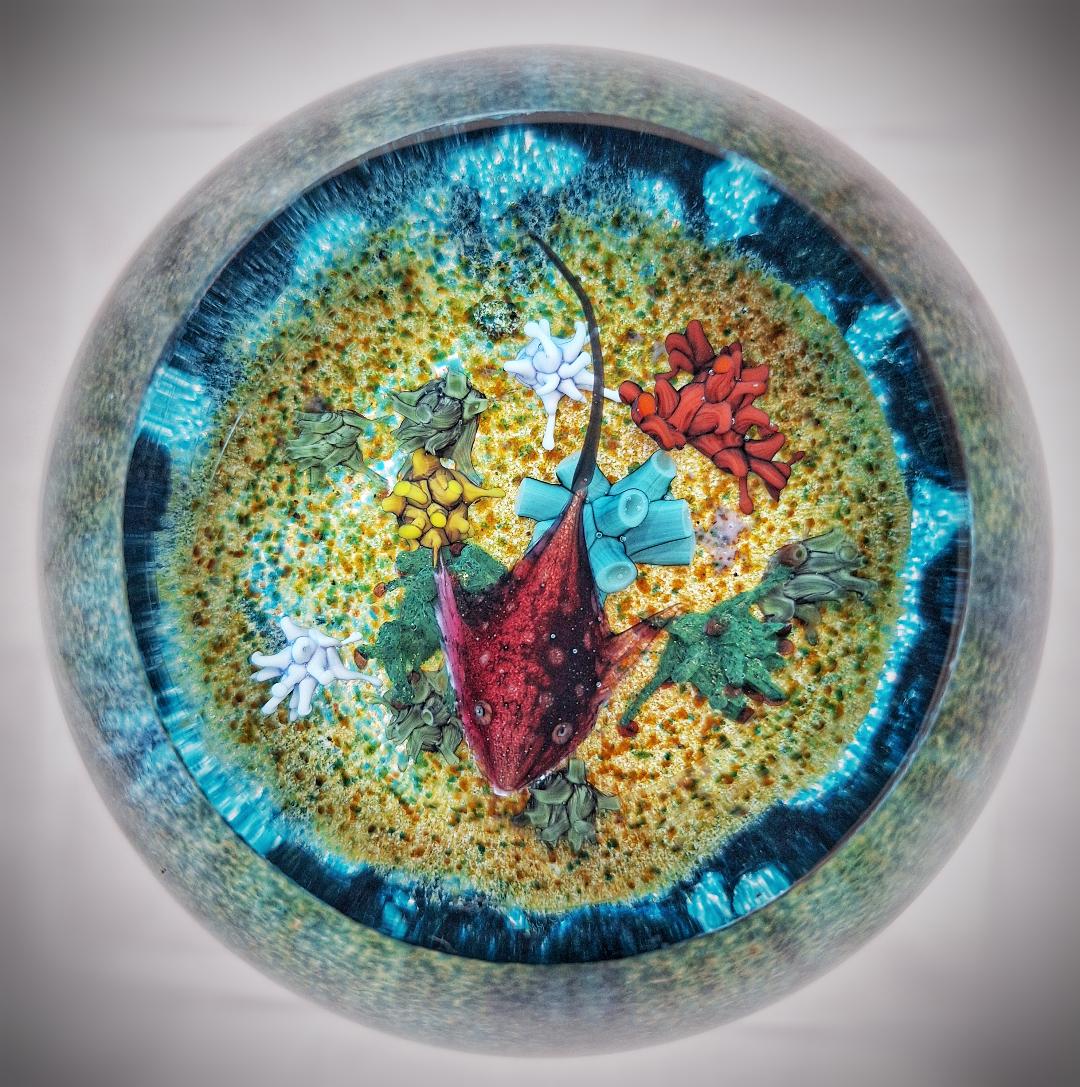 Image of Domed Manta Ray by William Manson