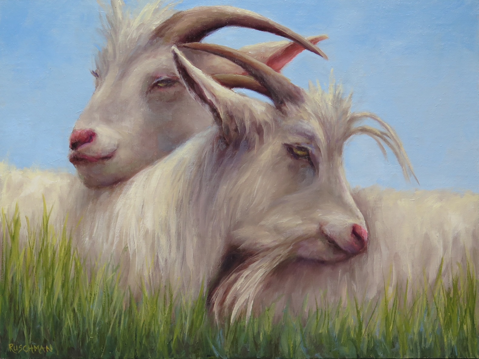 Image of Rooftop Cuddle Buddies by Pamela Ruschman