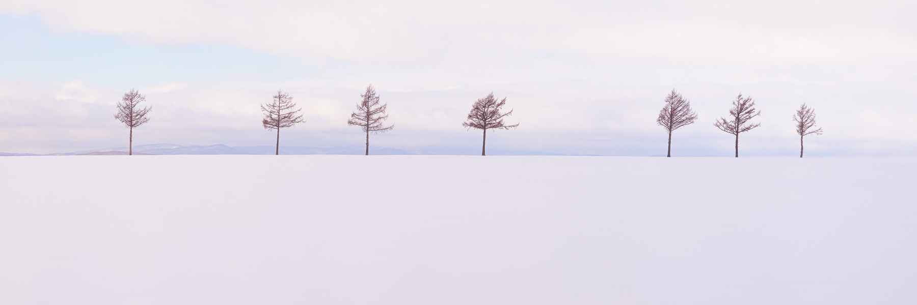 Seven Trees by  Steven Friedman - Masterpiece Online