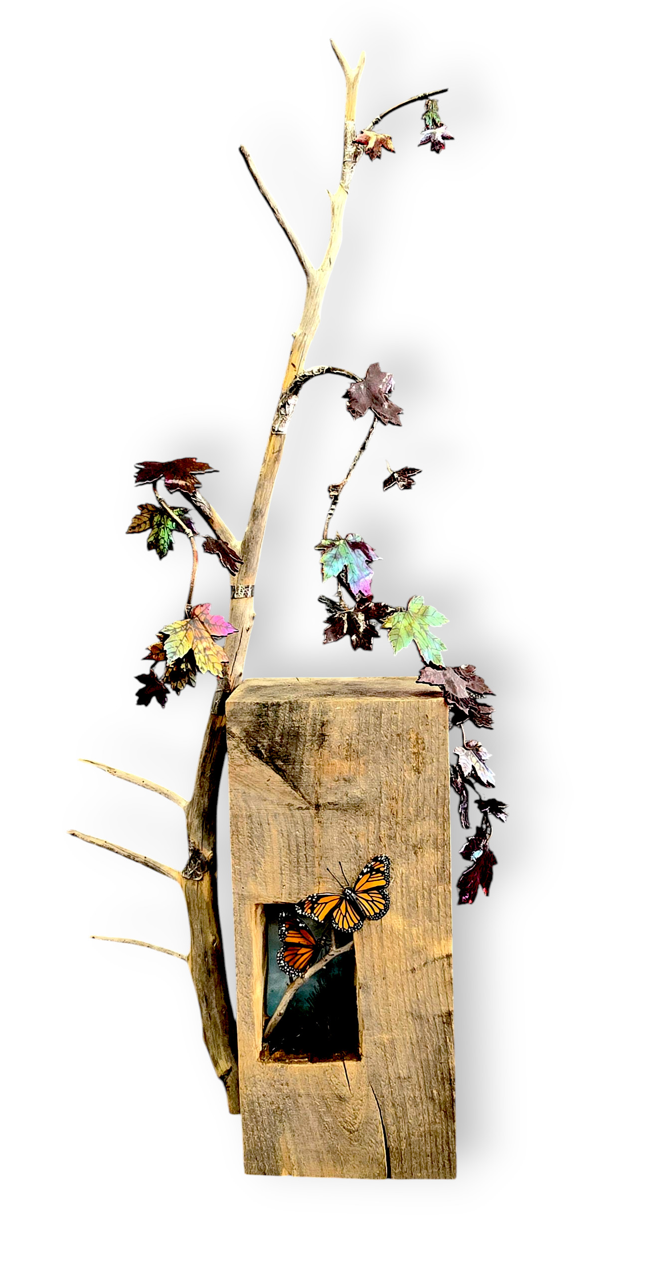 Image of Last Glimmer by Laurel Grey