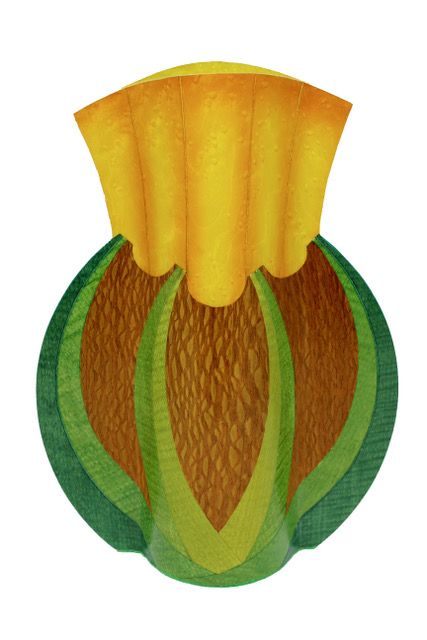 Image of Fiddleback Sycamore, Bleached Birdseye by Rod Townsend