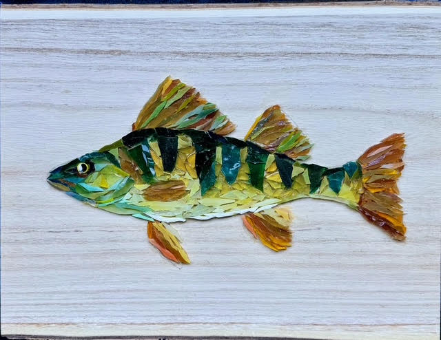 Image for Yellow Perch