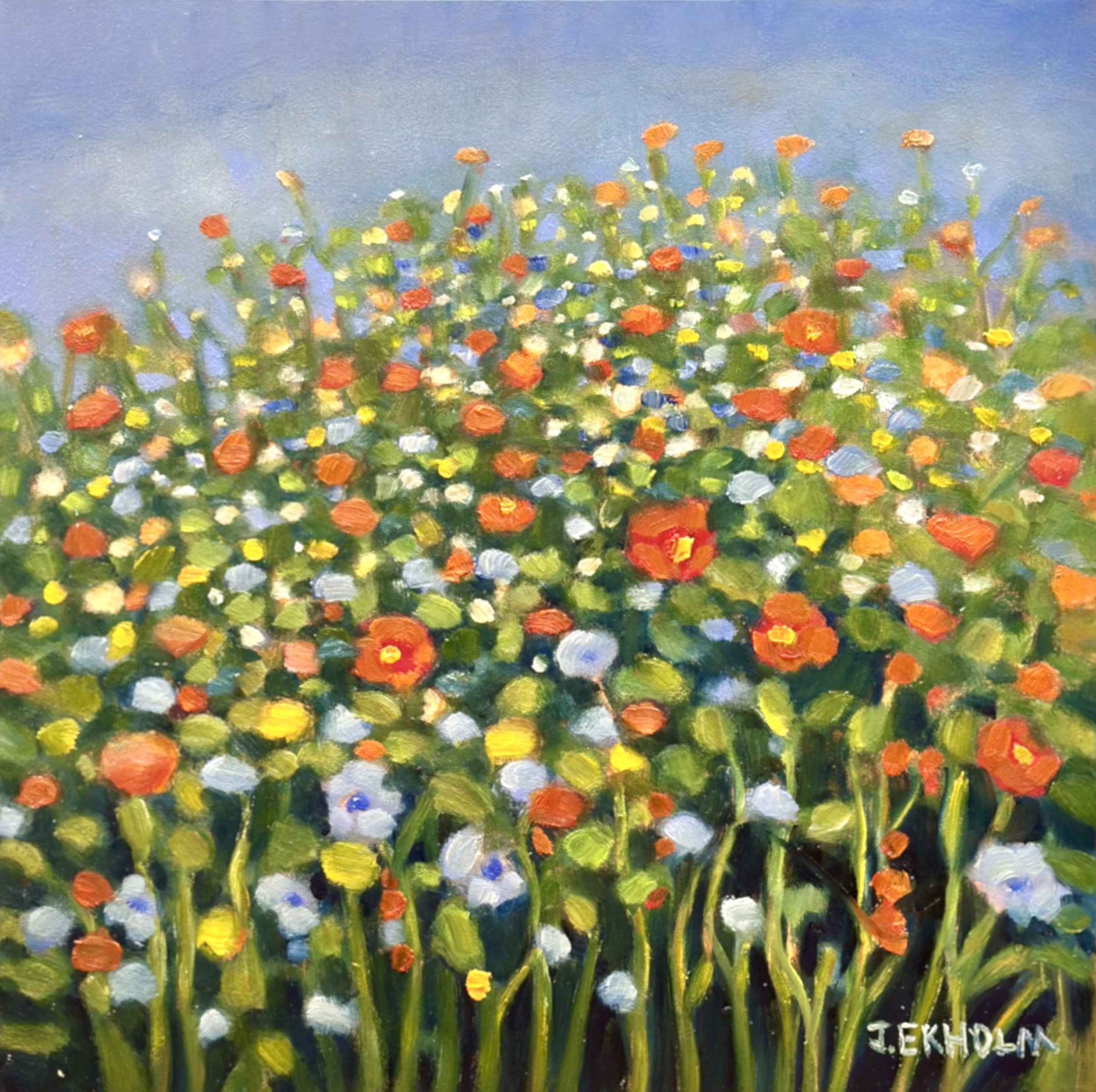 Image of Meadow Poppies by Judi Ekholm