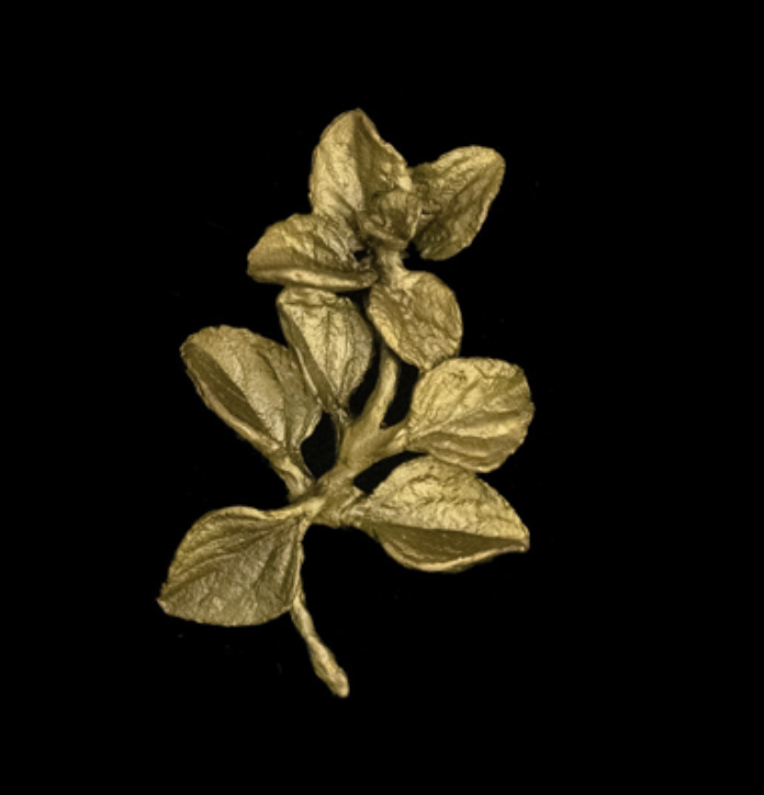Image of Oregano Lapel Brooch by Michael Michaud