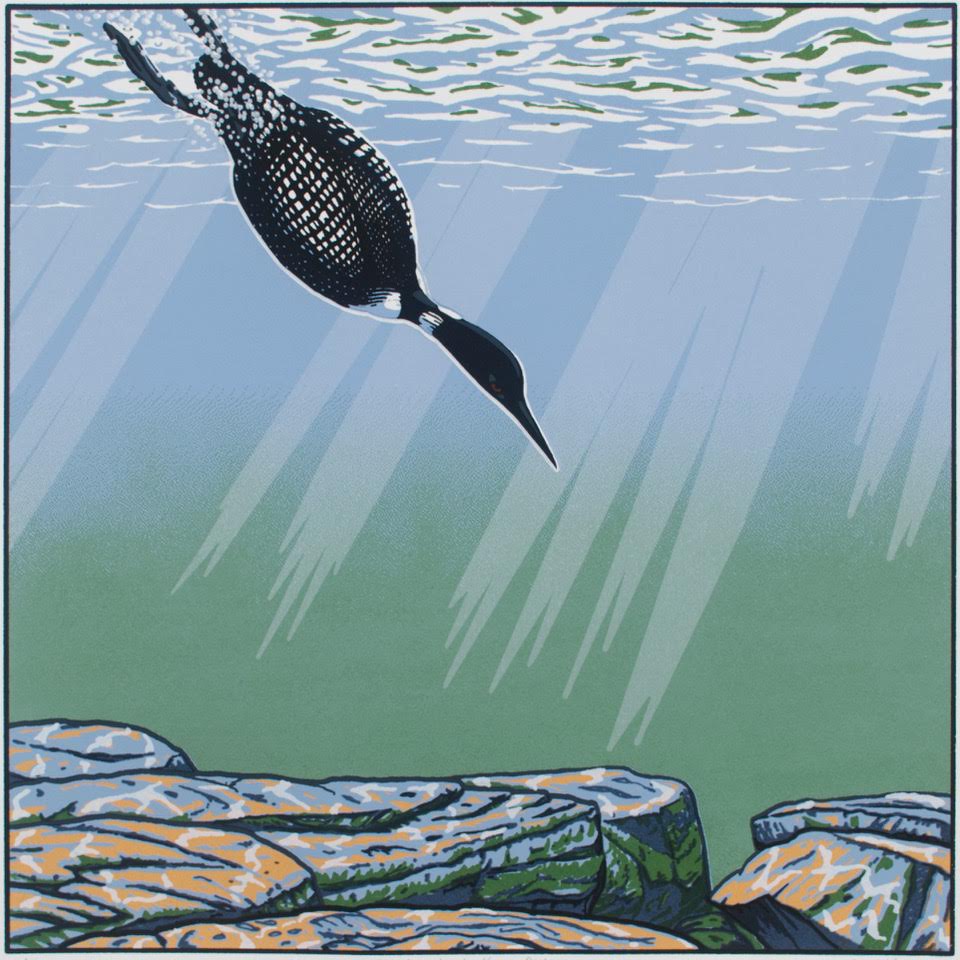 Image of Great Northern Diver, Edition of 9 by John S. Miller