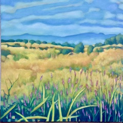 Image of High Country by Judi Ekholm