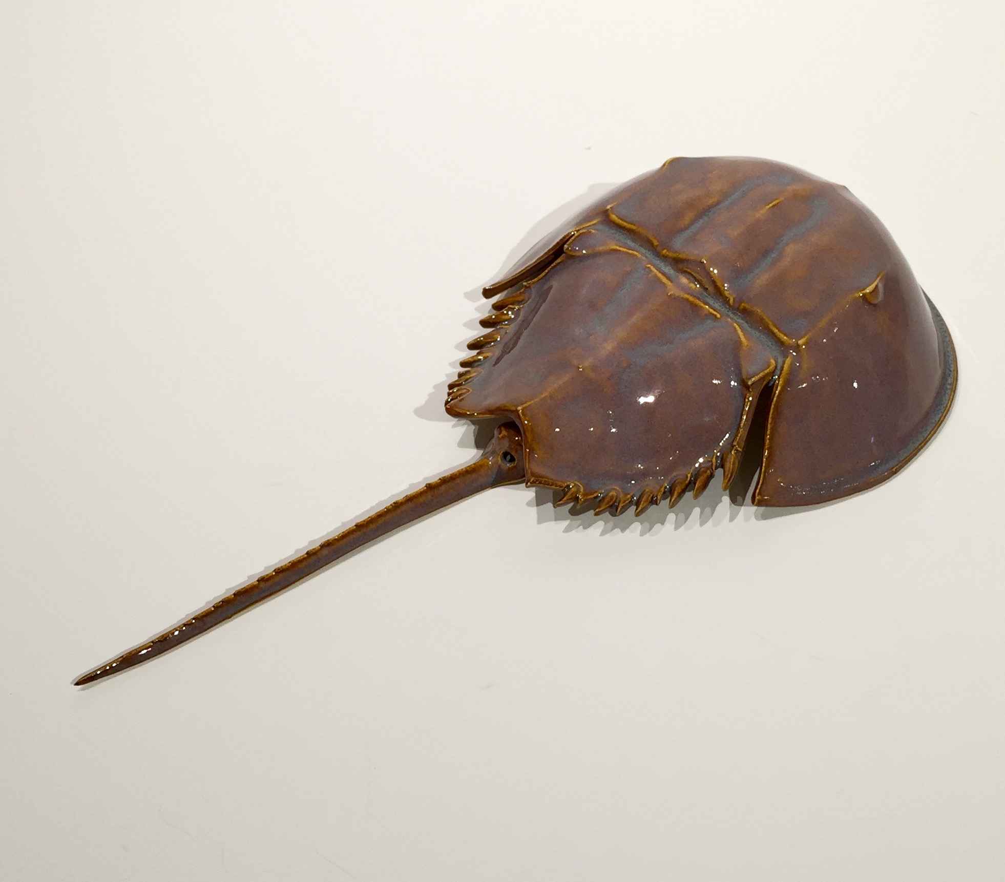 Ceramic Horseshoe Crab, Small by Mark Rea North Water Gallery