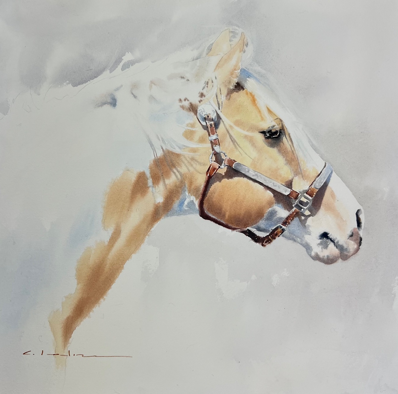 Image of Sunlit Moment by Caitlin Leline Hatch
