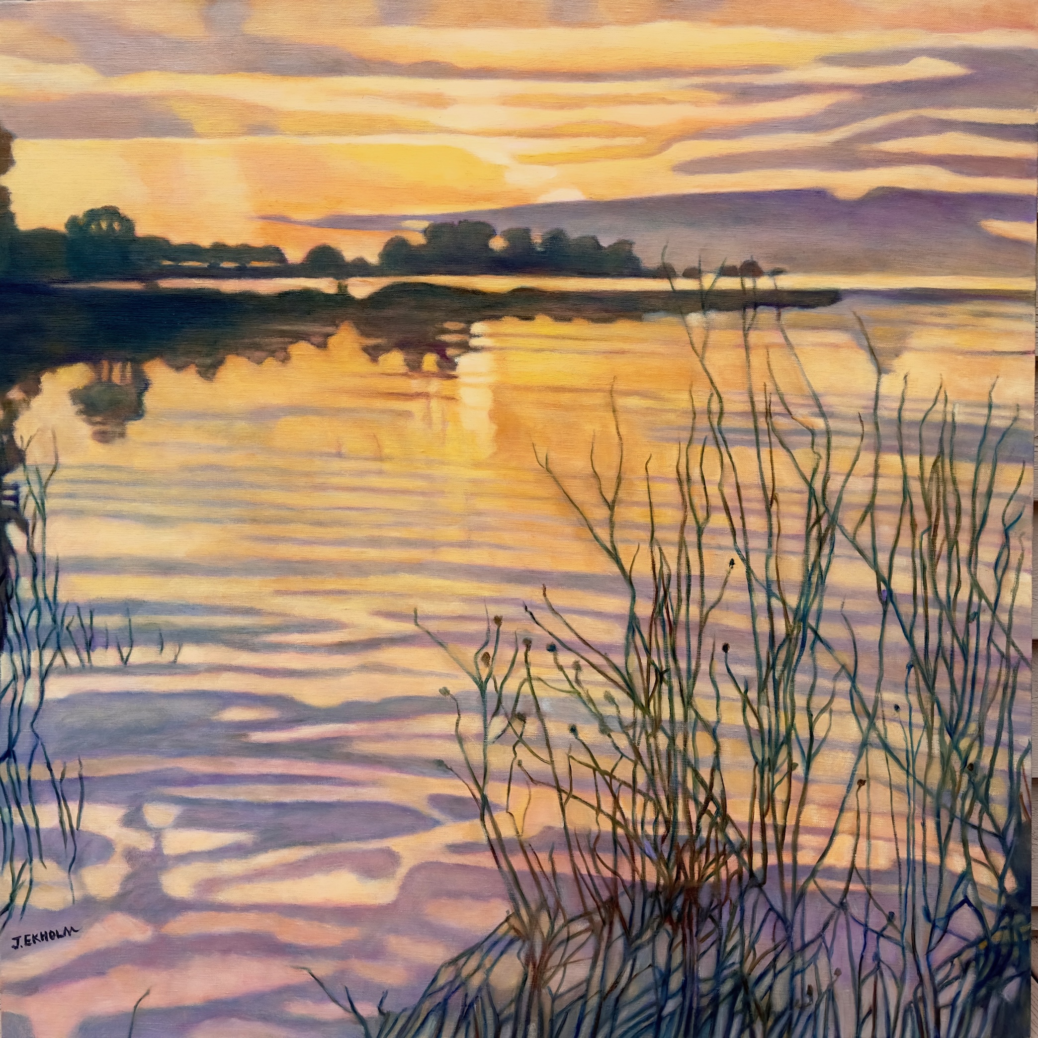 Image of In Praise of the Day by Judi Ekholm