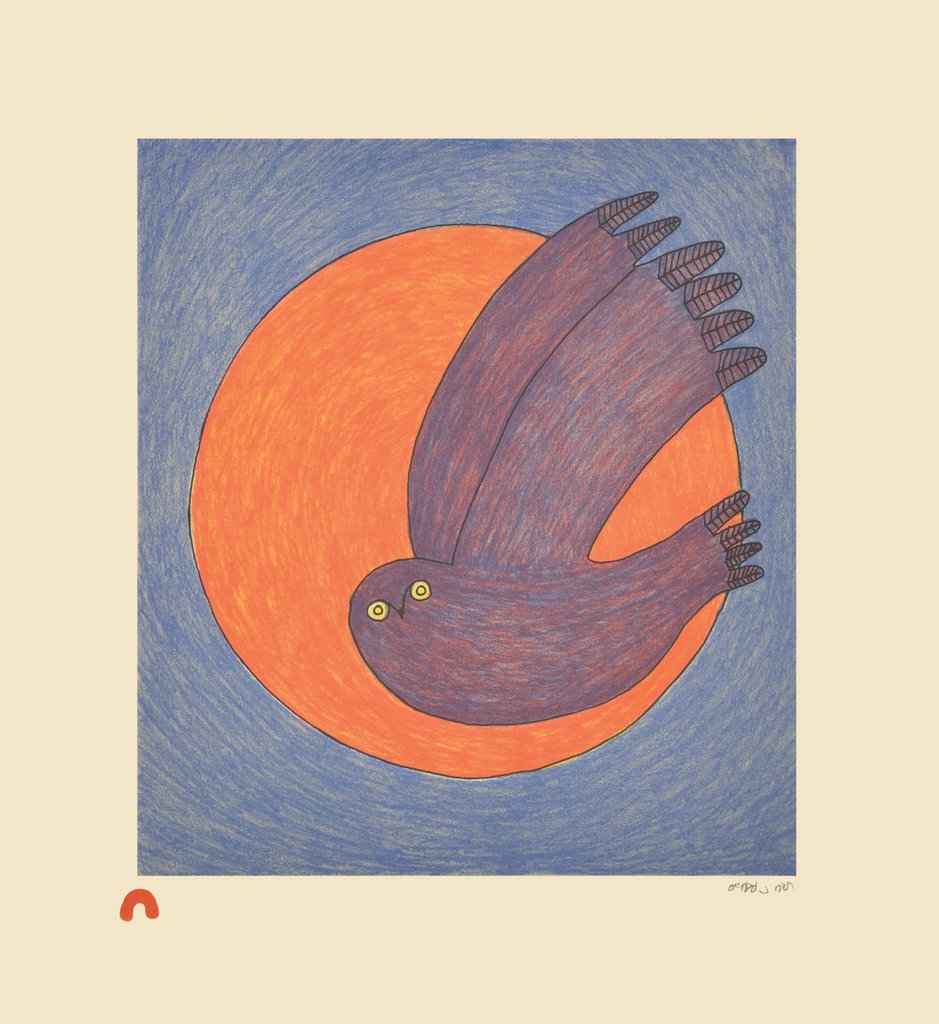 Nocturnal Owl by  Ningeokuluk Teevee - Masterpiece Online