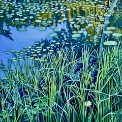 Image of Enchantment by Judi Ekholm