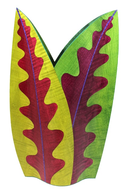 Image of Coleus Leaves Fiddleback Sycamore & Maple by Rod Townsend