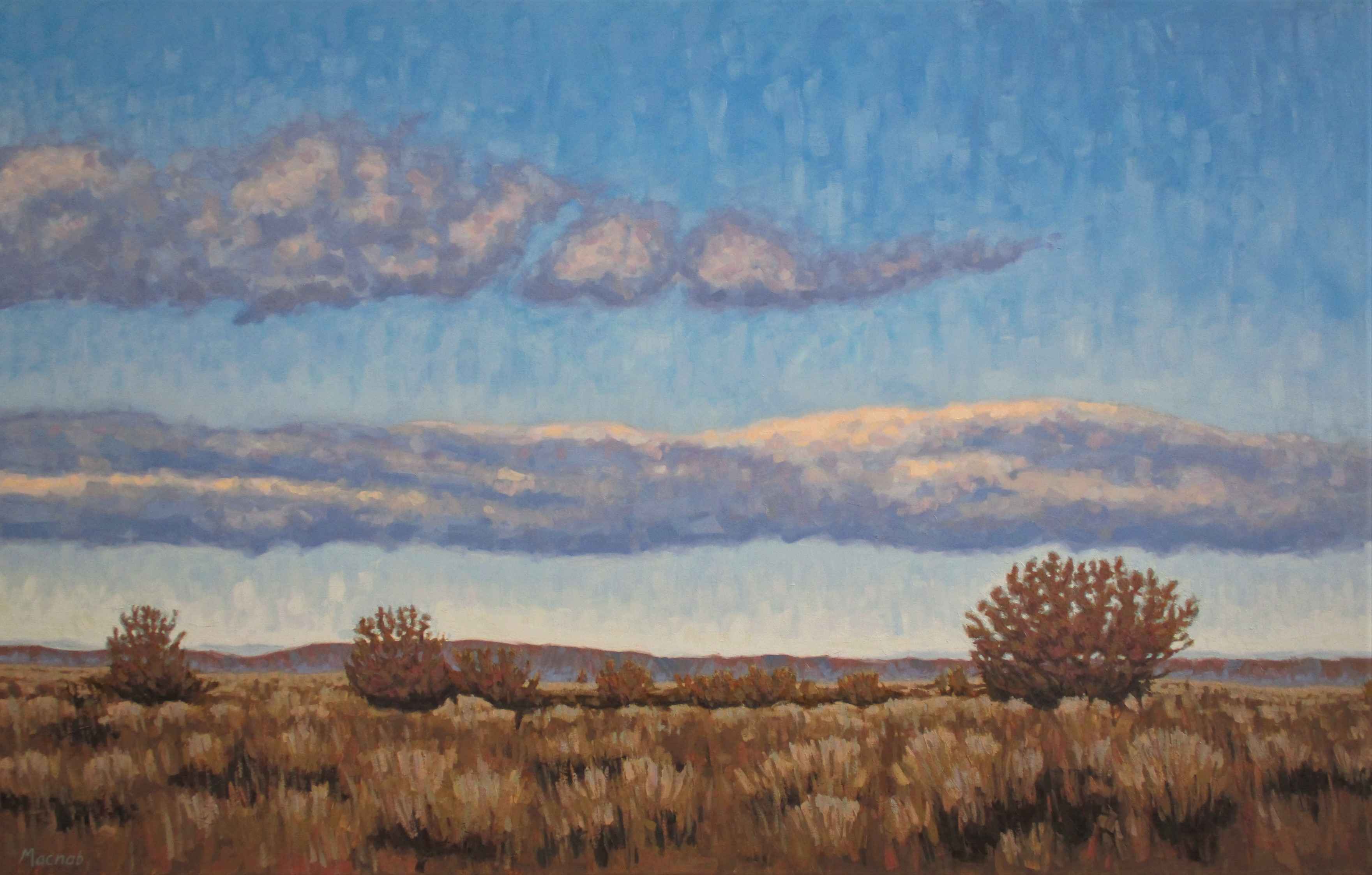 Oregon Desert by  John MacNab - Masterpiece Online