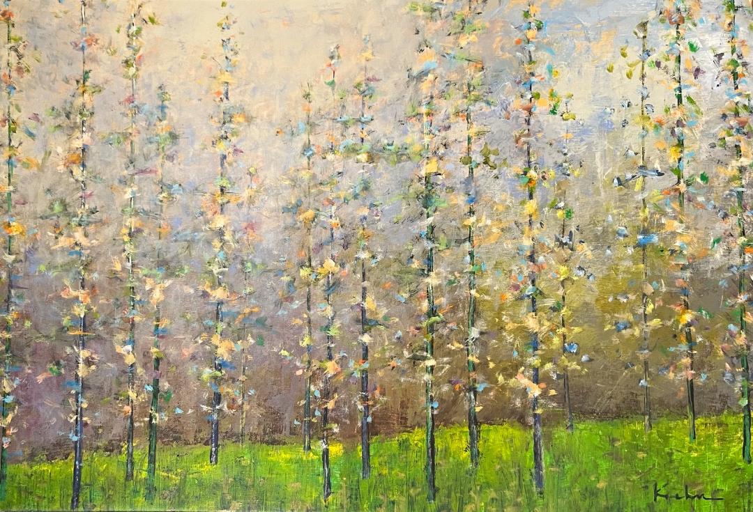 Image of The Secret Life of Trees by Jeff Koehn
