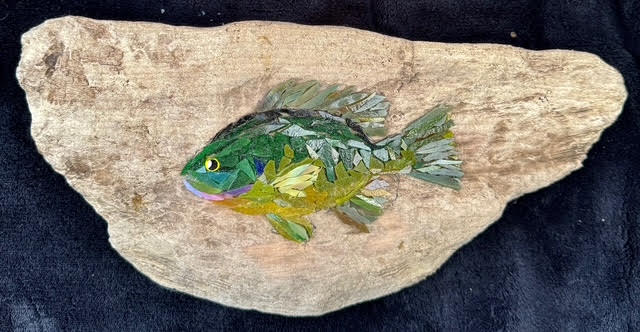 Image of Little Bluegill by Joseph Kaftan
