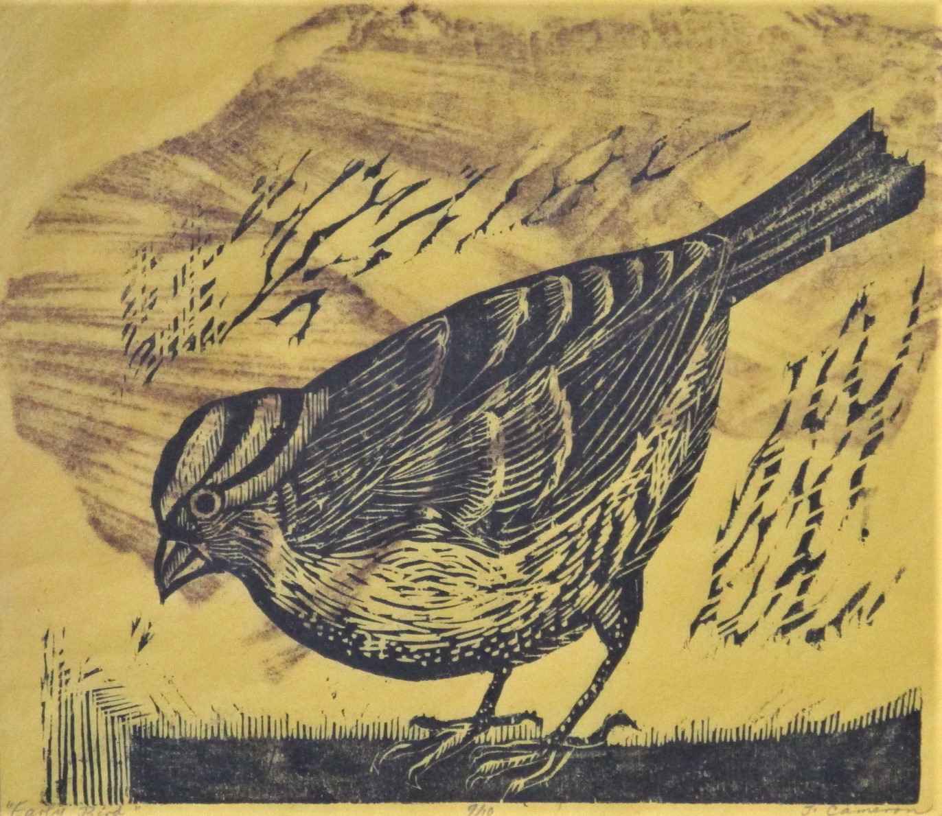 Early Bird by  Jo Cameron - Masterpiece Online