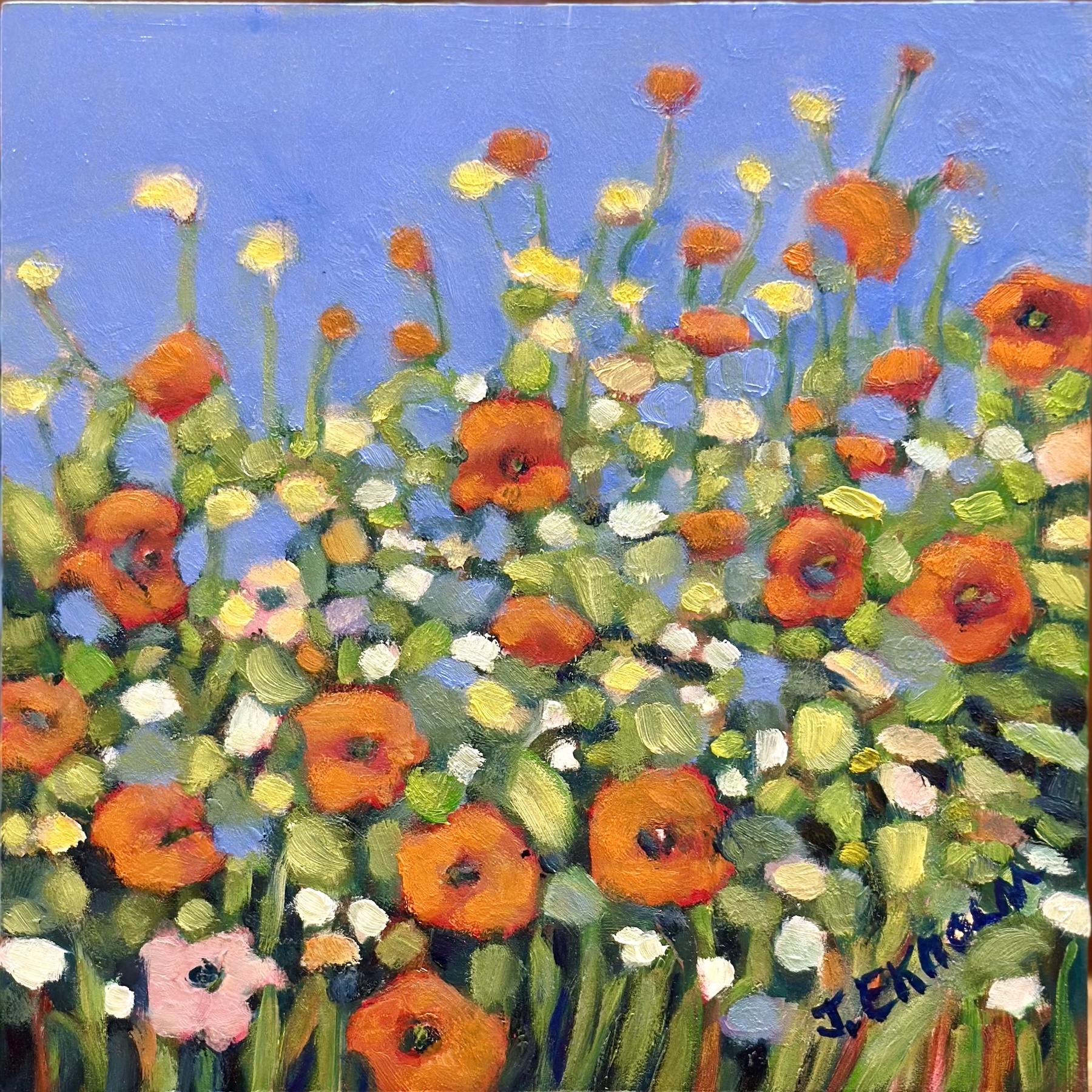 Image for Poppies for the Day