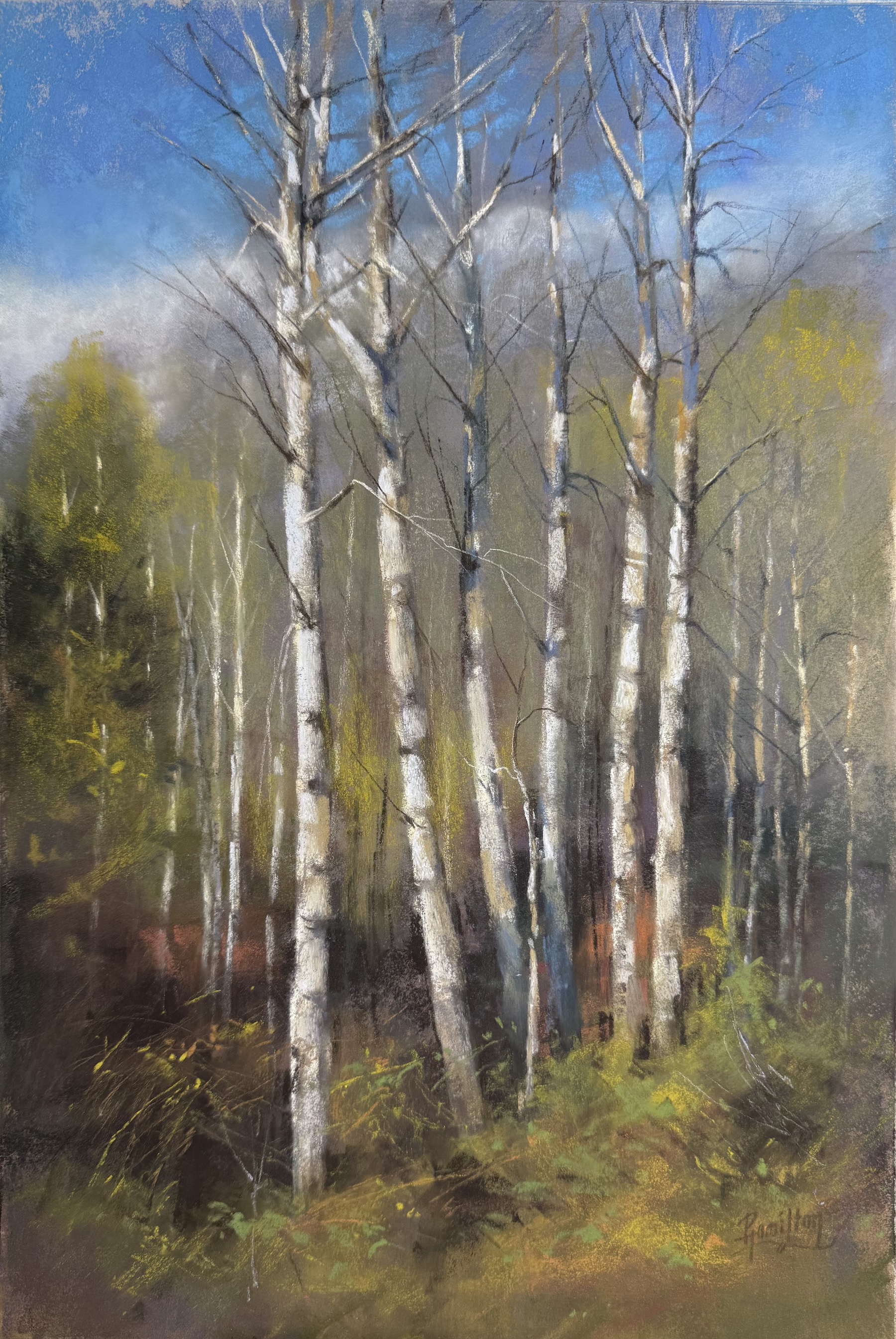 Image of Pillars of Light by Pamela Hamilton