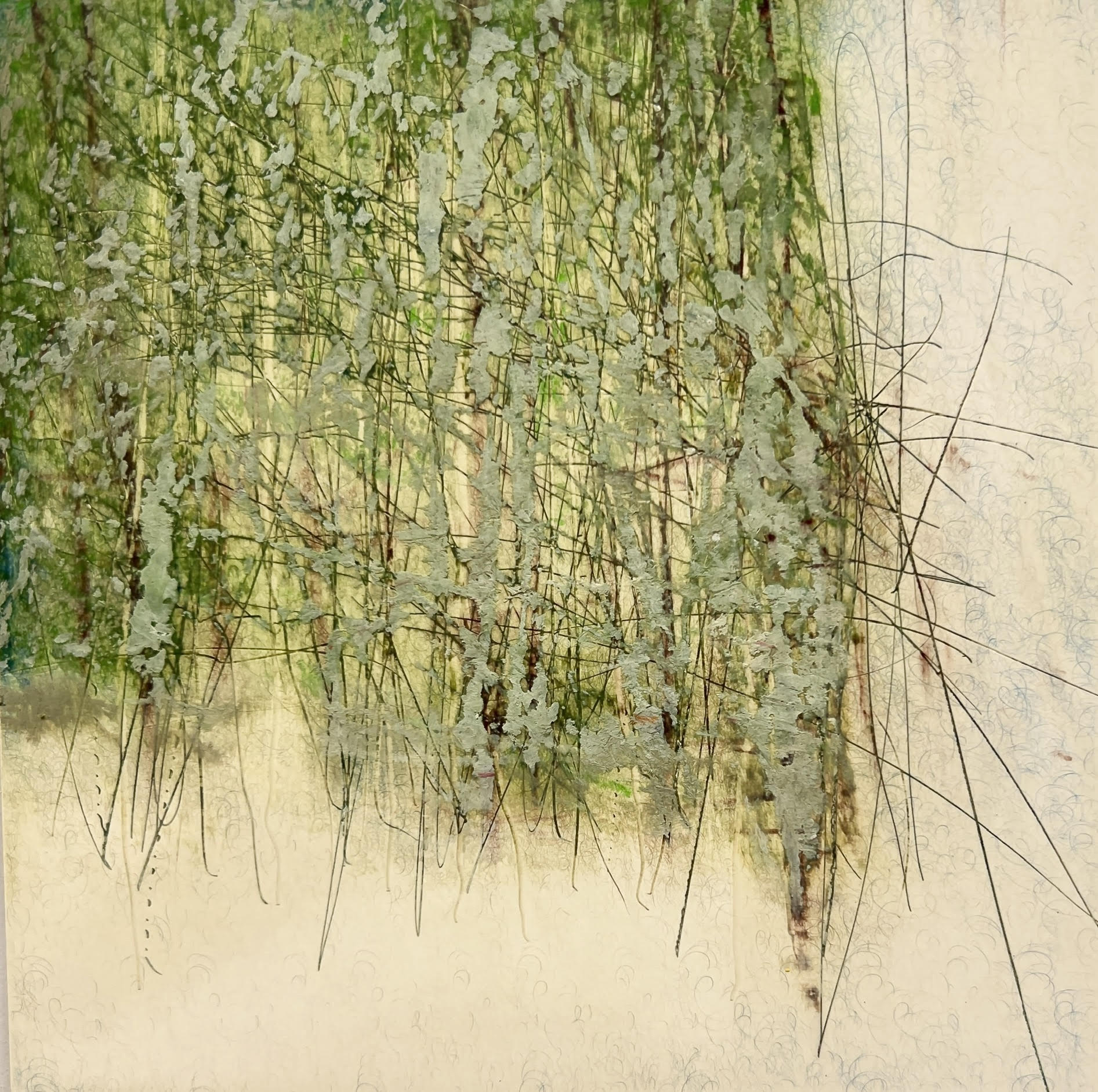 Image of Echoes of the Trees by George Shipperley