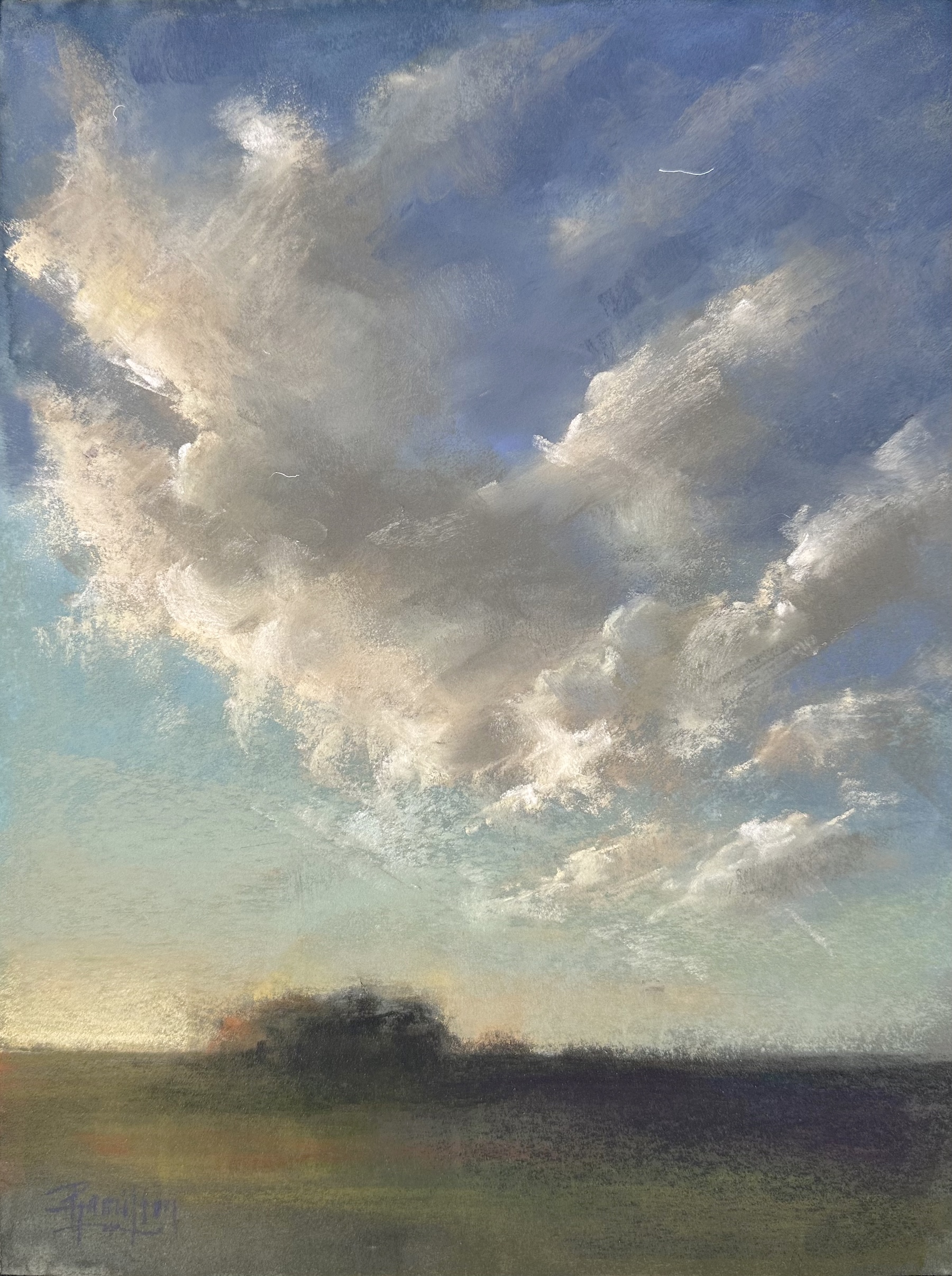 Image of Moody Blues by Pamela Hamilton