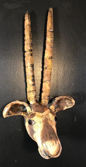 Gemsbok Antelope Face