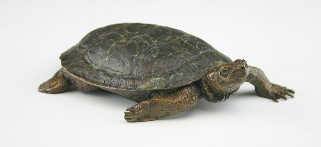 Image of Painted Turtle, Edition of 100 by Mark Dziewior