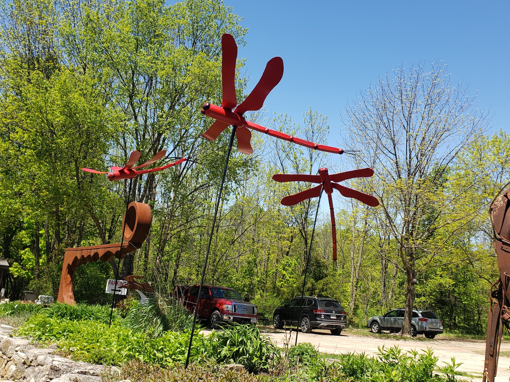 Image of Dragonfly, Painted Large, Open Edition by Thomas Skupniewitz